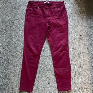 Artisan Ny Women's Burgundy Pants